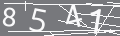 capsa